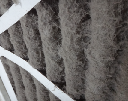 Technician replacing a dirty air filter with a clean one - ac maintenance company Technician replacing a dirty air filter with a clean one - ac maintenance company